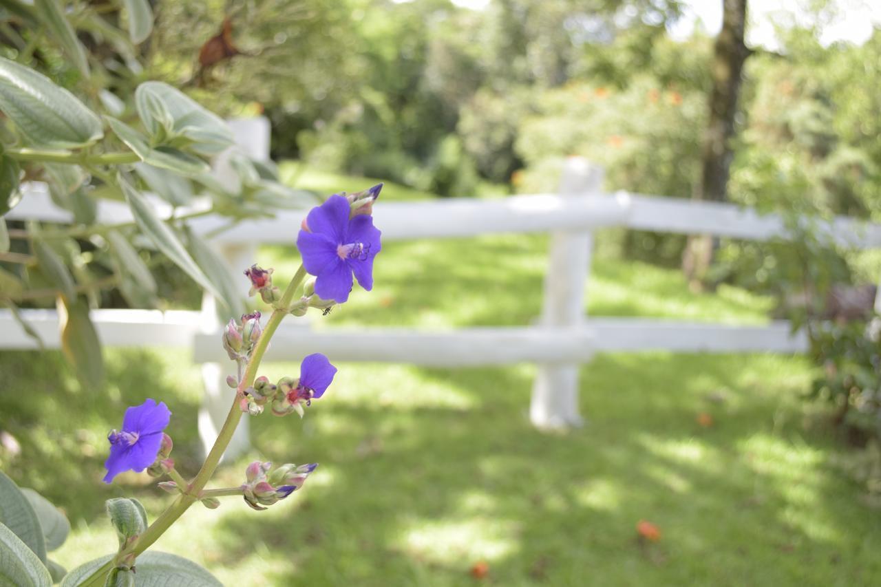 Hotel Fazenda Fonte Colina Verde Sao Pedro  Luaran gambar